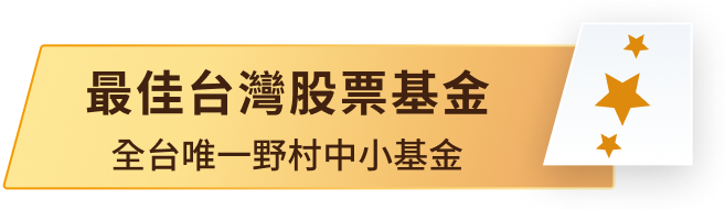 最佳台灣股票基金