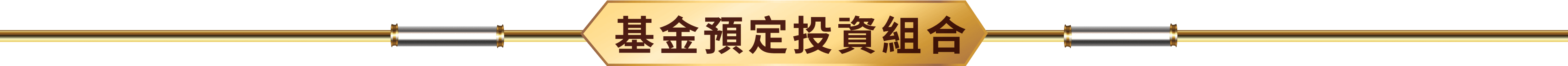 基金預定投資組合